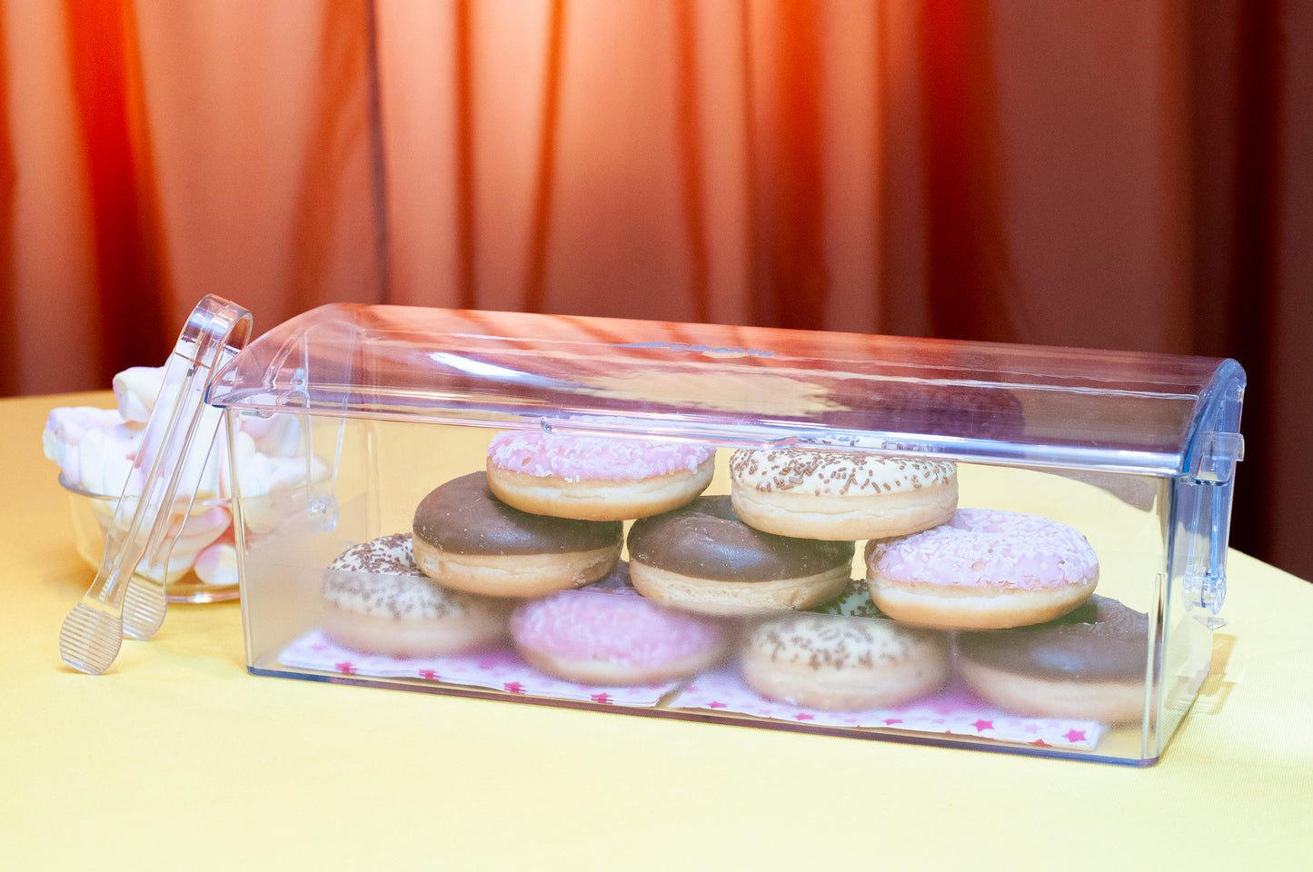 Organization Storage Plastic Box with Hinged Lid