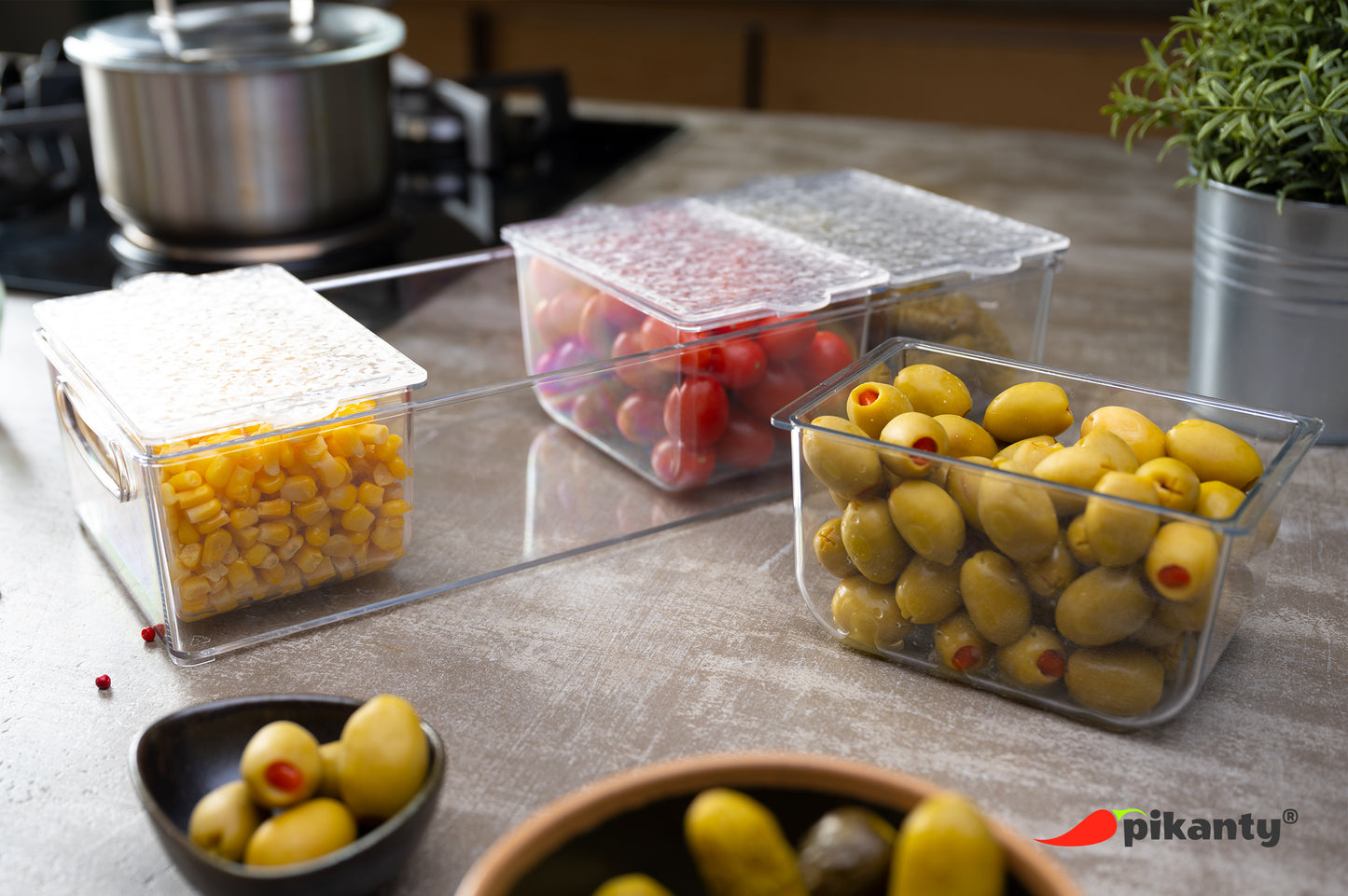 Condiment Server with Removable Containers and Lids