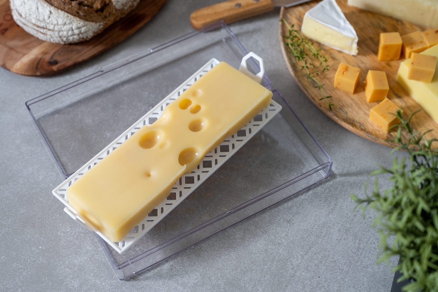 Cheese Storage Container for Fridge